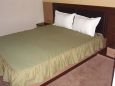 Cazare in Maramures - HOTEL CENTRAL INEU - Ineu - click aici, pentru marirea pozei