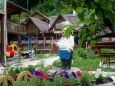 Cazare in Maramures - CABANA DALAS - Moneasa - click aici, pentru marirea pozei