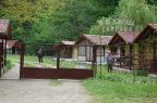 CABANA DALAS